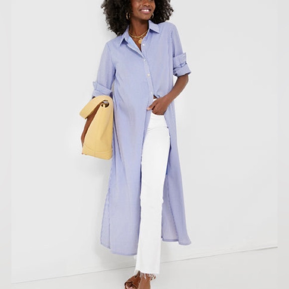 Tuckernuck Pomander Place Blue Stripe Griffin Dress - Picture 2 of 12